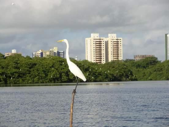 Apartamento Para Alugar Em Aracaju Exterior foto